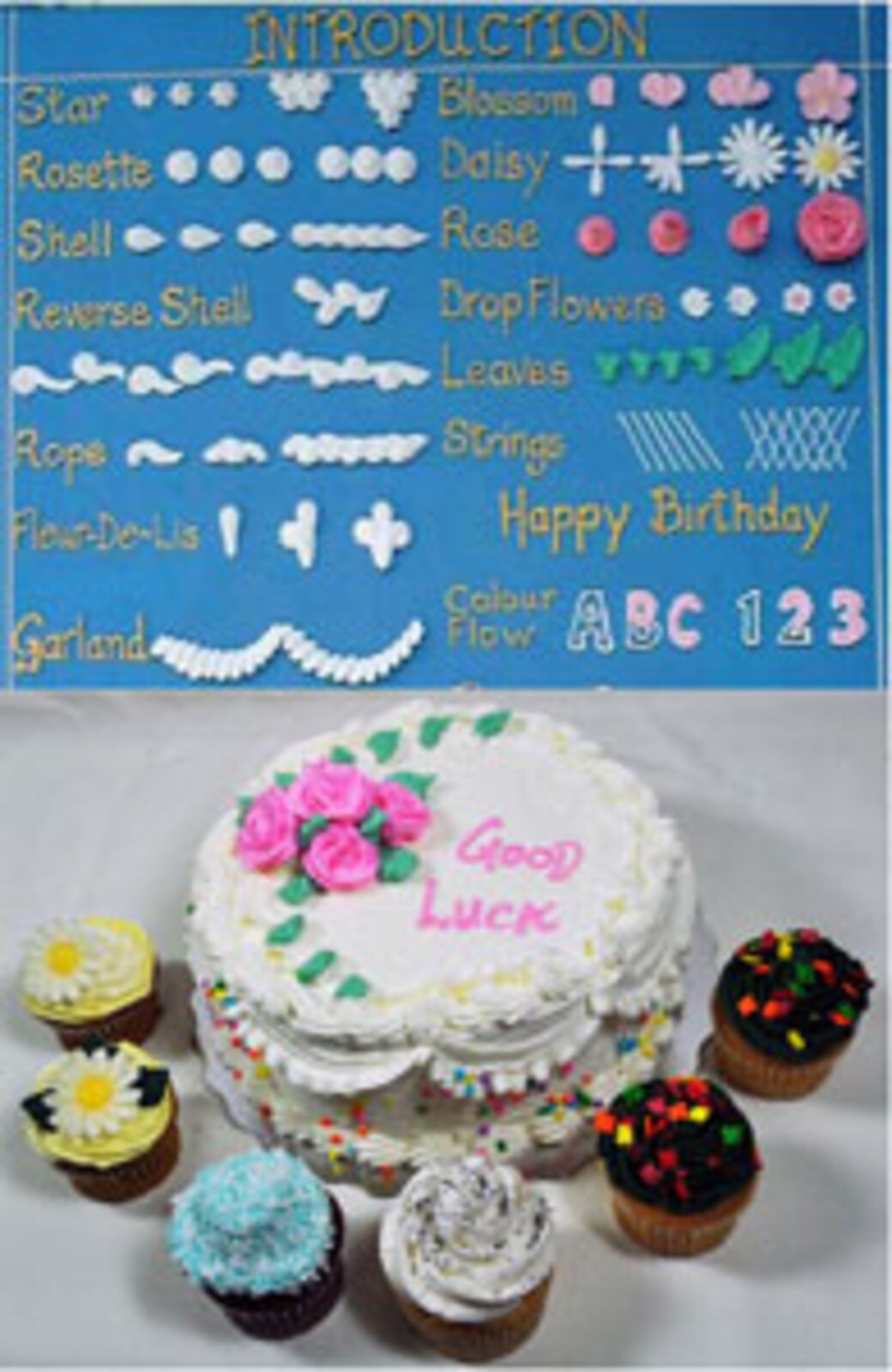 cake decorating classes for beginners