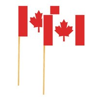 PAPER CANADIAN FLAG PICK 2 PC SET