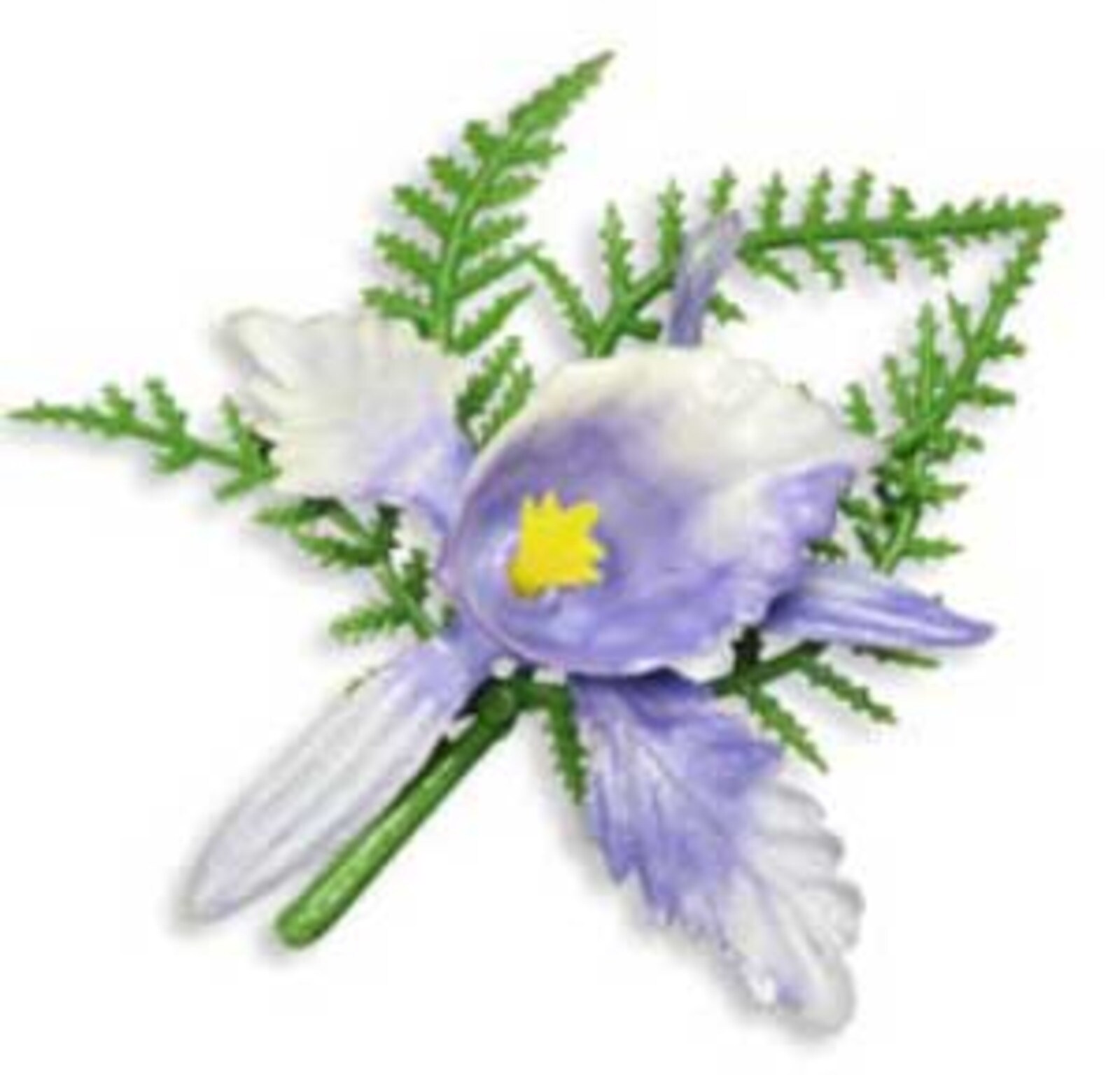 ORCHID WITH FERN 2 1/2"
