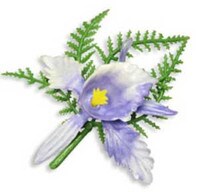 ORCHID WITH FERN 2 1/2"
