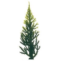 TWO-TONE TREE 3"