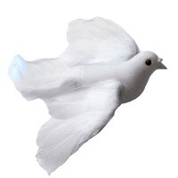 WHITE FEATHER FLYING DOVE