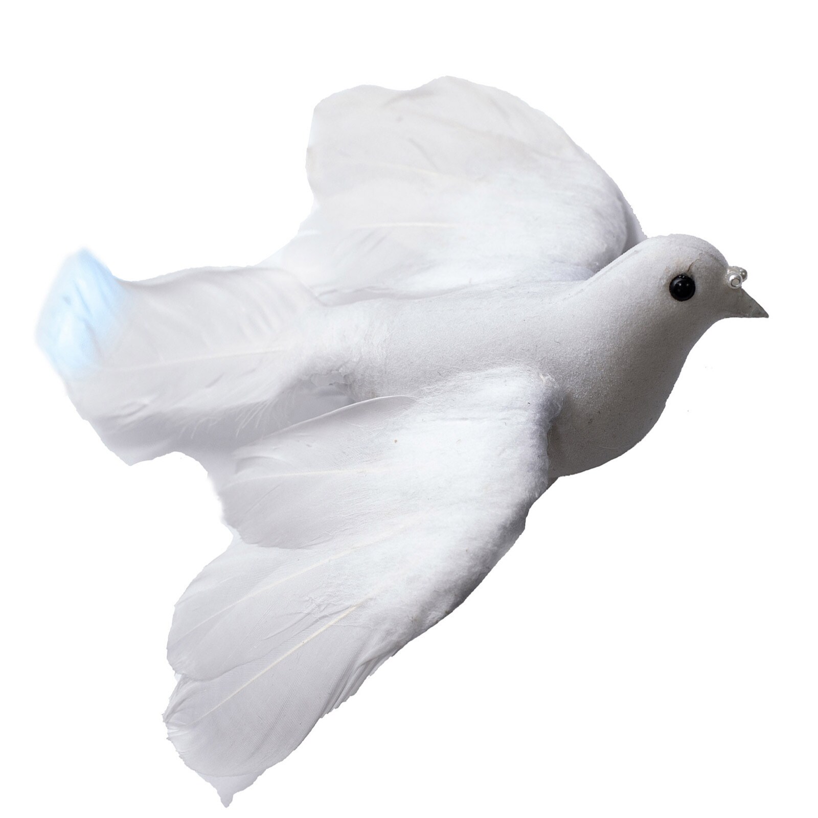WHITE FEATHER FLYING DOVE   