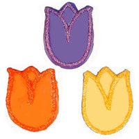 ASSORTED TULIP COOKIES - 24 PER BOX