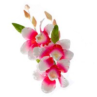 GUMPASTE BUTTERFLY ORCHID SPRAY 6"