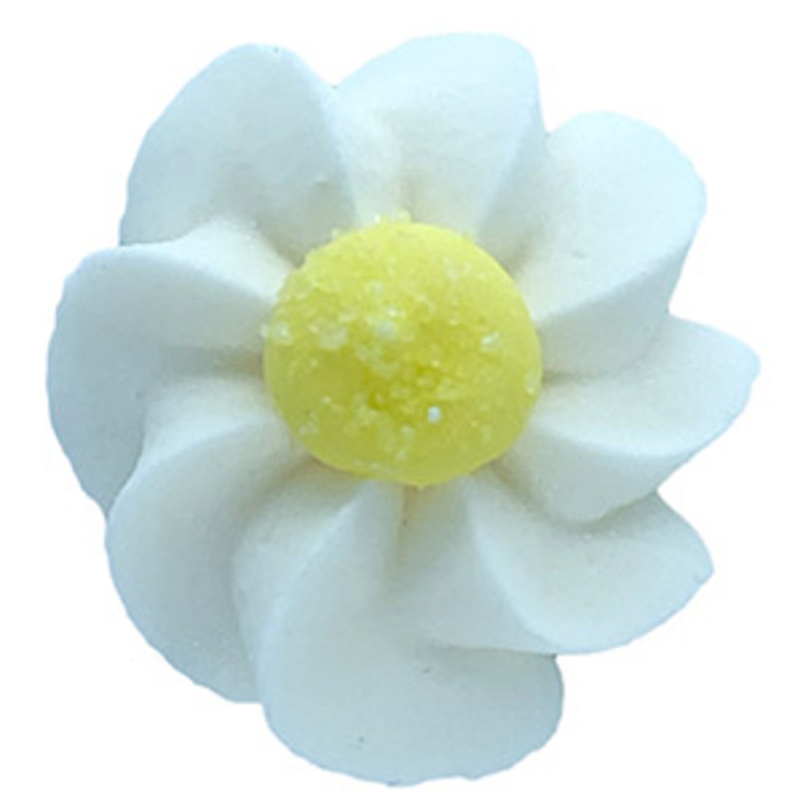 ROYAL DAISY - WHITE