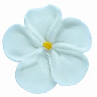 ROYAL FORGET ME NOT - WHITE