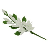 GUMPASTE STEPHANOTIS FILLER SPRAY 4"