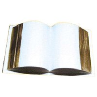 OPEN BIBLE WITH GOLD TRIM 3 1/4"