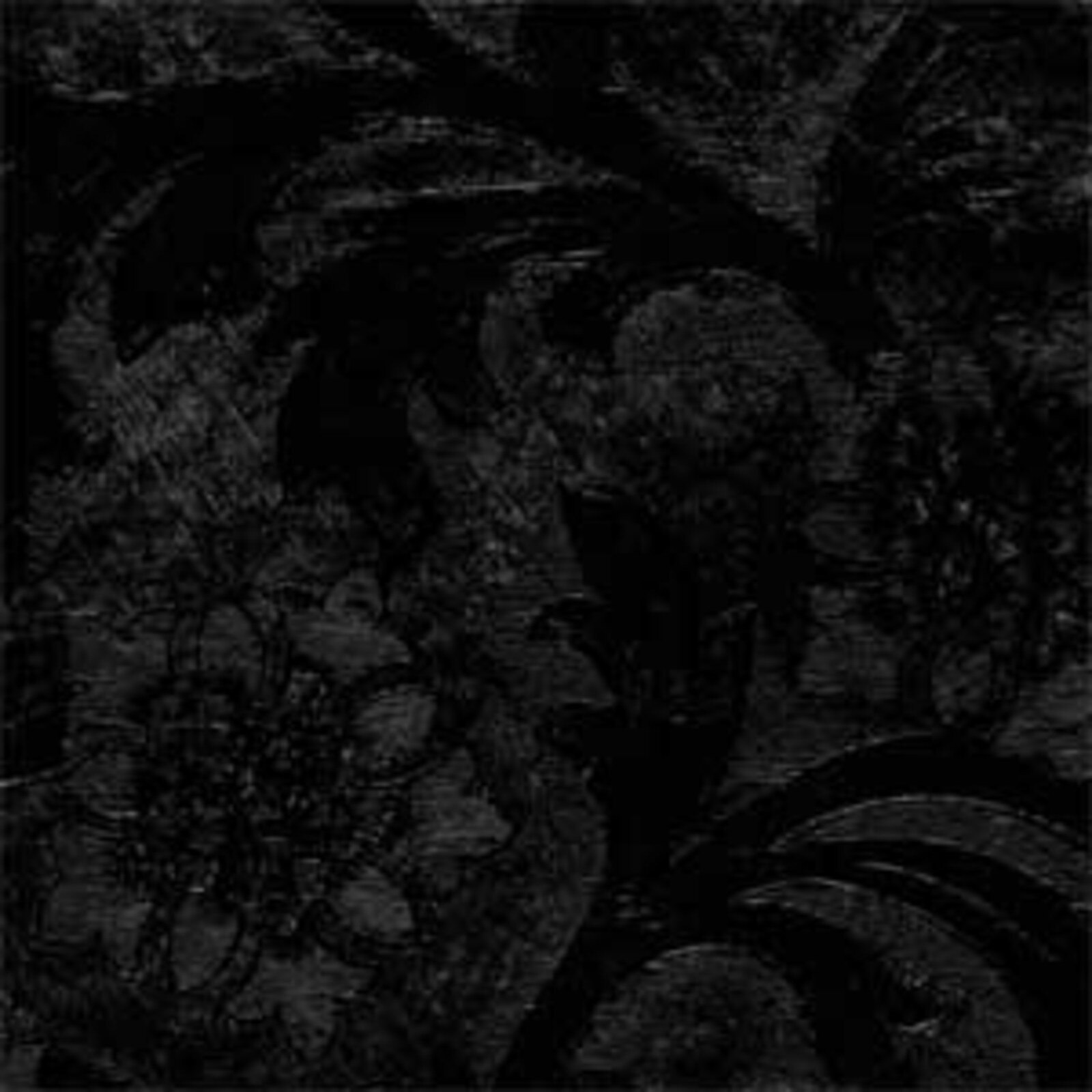 BLACK EMBOSSED FOIL ROLL