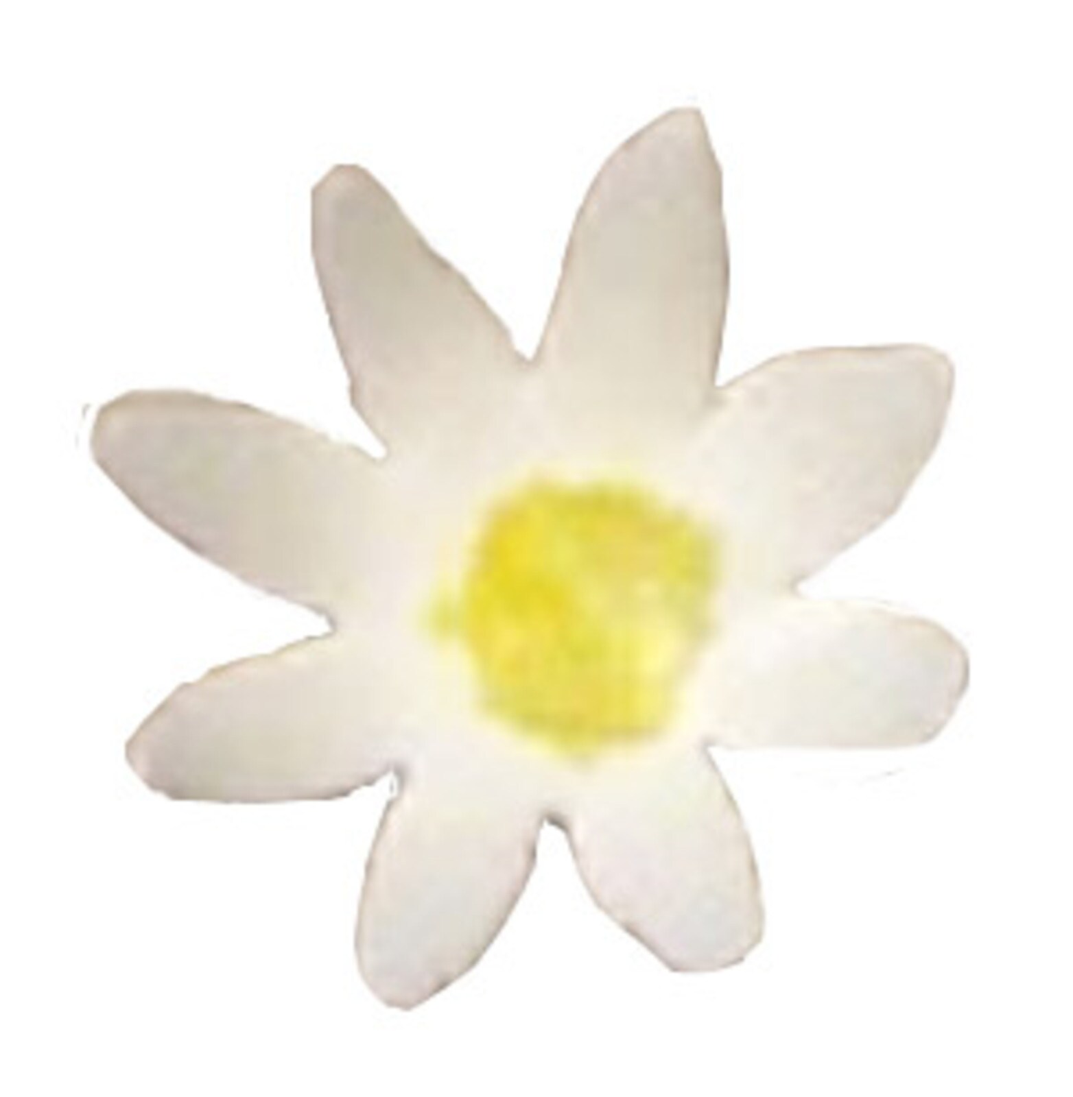 GUM PASTE DAISY