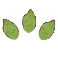 15486-t-Leaves-green.jpg