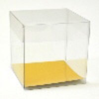 3.75X3.75X3.75"/ 2PC CLEAR CUPCAKE BOX