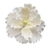 GUMPASTE WHITE PEONY 4.5"