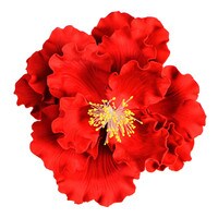 GUMPAST RED PEONY 5.5"