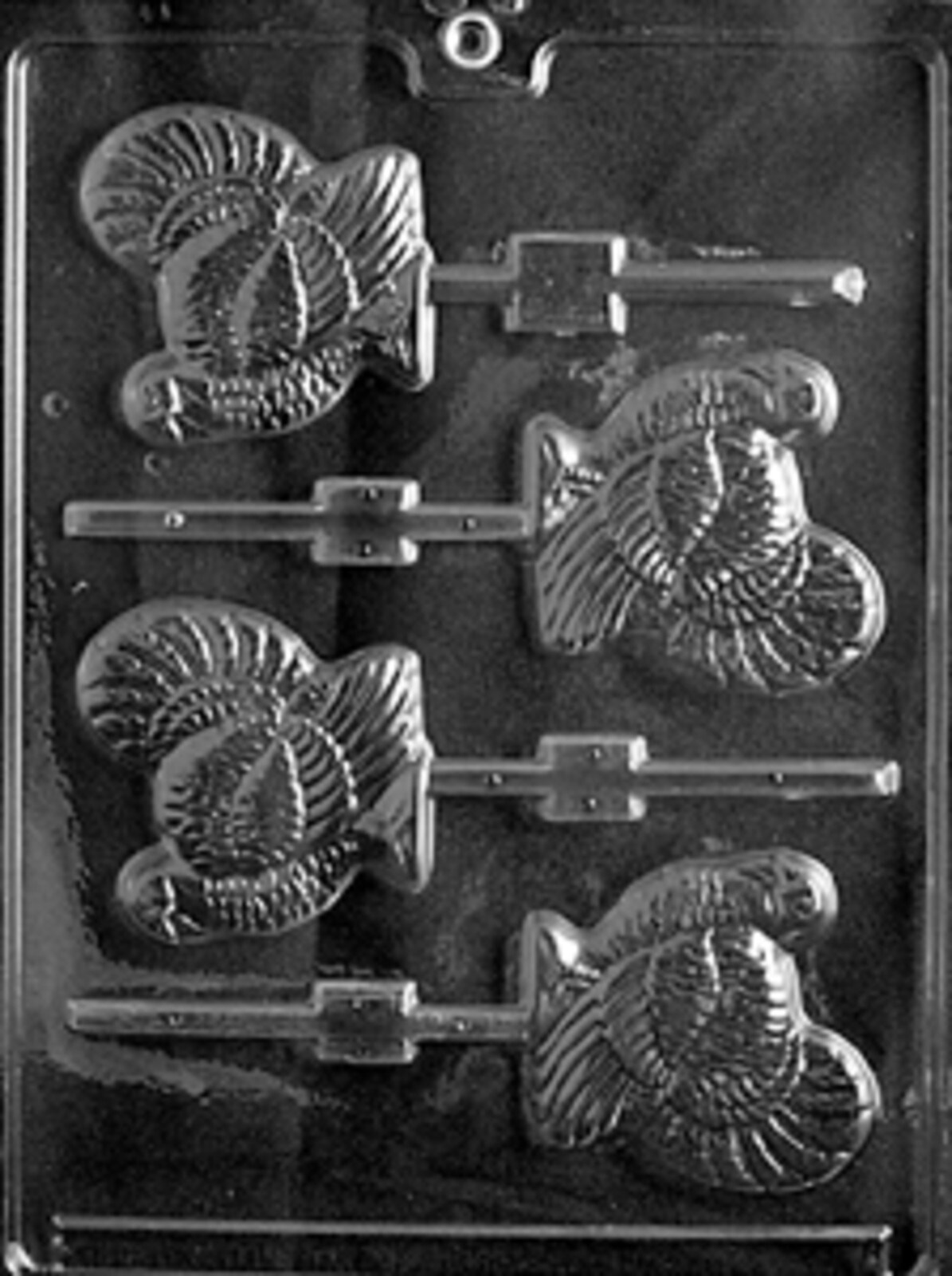 L-1754.jpg