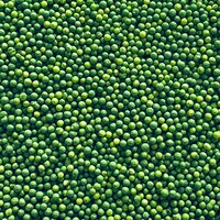 SPRINKLES NON-PAREIL LIME GREEN  