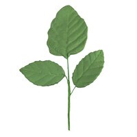 GREEN GUMPASTE ROSE LEAVES WITH WIRES