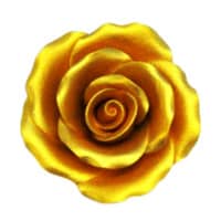 GUMPASTE GOLD ROSE 2 1/4" 6 PC