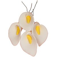 GUMPASTE CALLA LILY WHITE FLOWER WIRE CASE