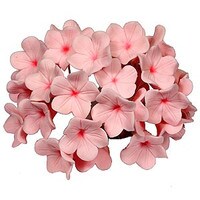 GUMPASTE FILLER FLOWER BUD WIRE