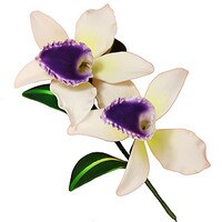 GUMPASTE CATTLEYA ORCHID PURPLE FLOWER