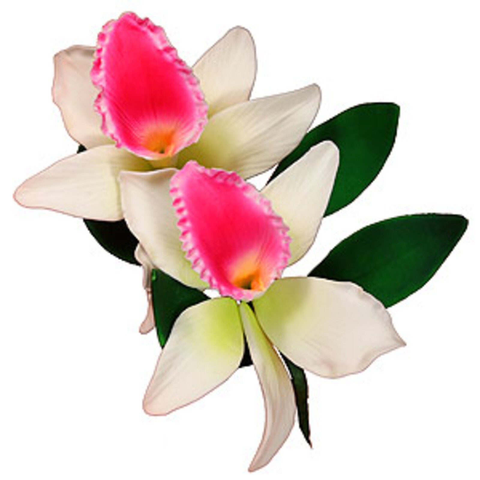 GUMPASTE CATTLEYA ORCHID PINK FLOWER