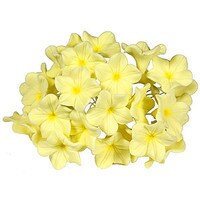 GUMPASTE FILLER FLOWER YELLOW WIRE