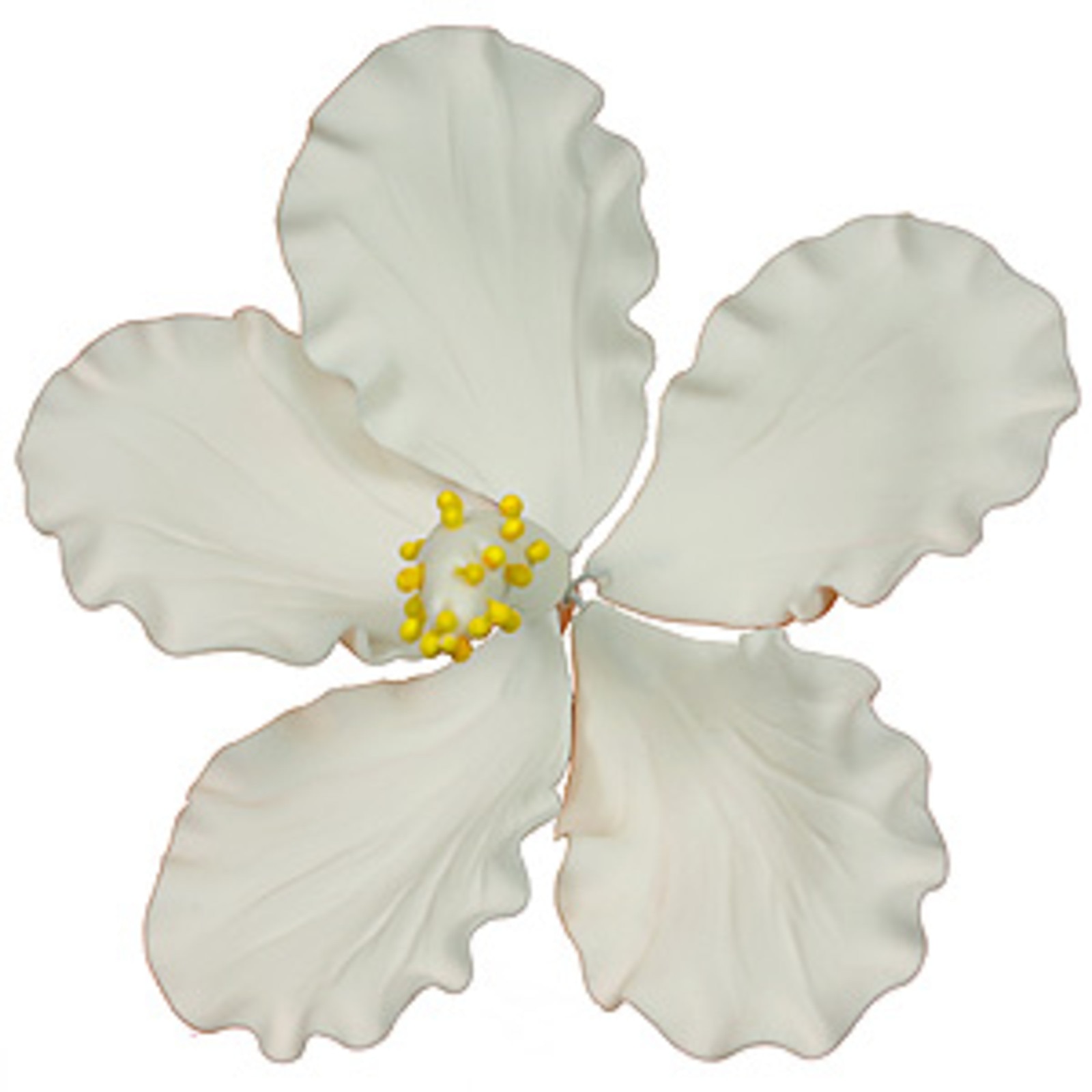 GUMPASTE HIBISCUS WHITE FLOWER WIRE