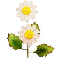 GUMPASTE DAISY SPRAY WHITE LEAVES WIRE