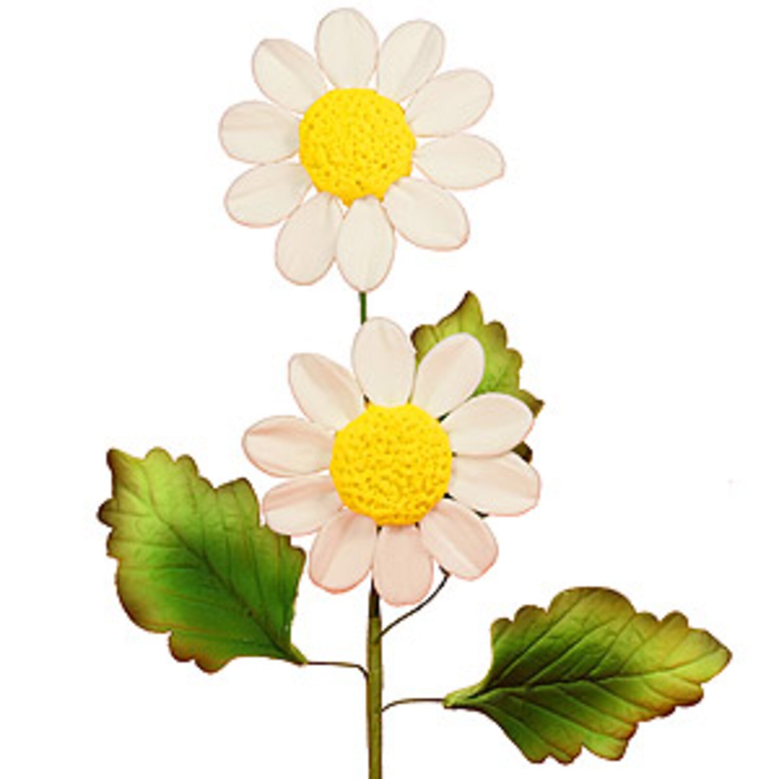 GUMPASTE DAISY SPRAY WHITE LEAVES WIRE