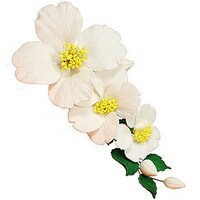 20900-orchid-camellia-spray-wh.jpg