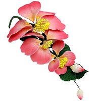 GUMPASTE CAMELLIA ORCHID SPRAY PINK FLOWER BUD LEAVES WIRE