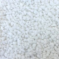 SUGAR PEARL NIBS