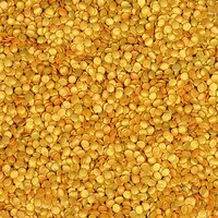 GOLD SEQUINS 1/8"