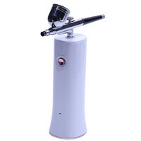 MCCALLS AIR COMPRESSOR & GUN 20 PSI RECHARGEABLE  