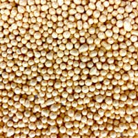 SPRINKLES NON-PAREIL RADIANT GOLD