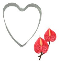 2883-Anthurium-mccalls.jpg