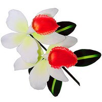 RED CATTLEYA ORCHID SPRAY