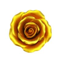 GUMPASTE GOLD ROSE 1 1/4" 12 PC