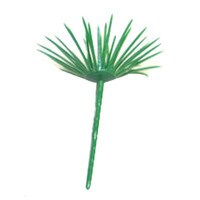 TREES PLANT / BUSH