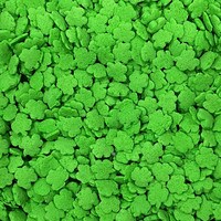 QUINS SHAMROCKS