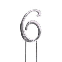 PLAIN SILVER NUMBER 6 PICK 