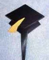 S-6310-GRD_HAT_PK.jpg