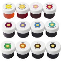 WILTON ICING COLOR PASTE 12-PIECE 1/2 OZ SET