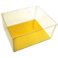  5.5" X 4" X 1.5" CLEAR BOX
