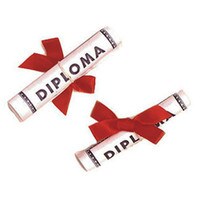 DIPLOMA PAPER WITH RED BOW