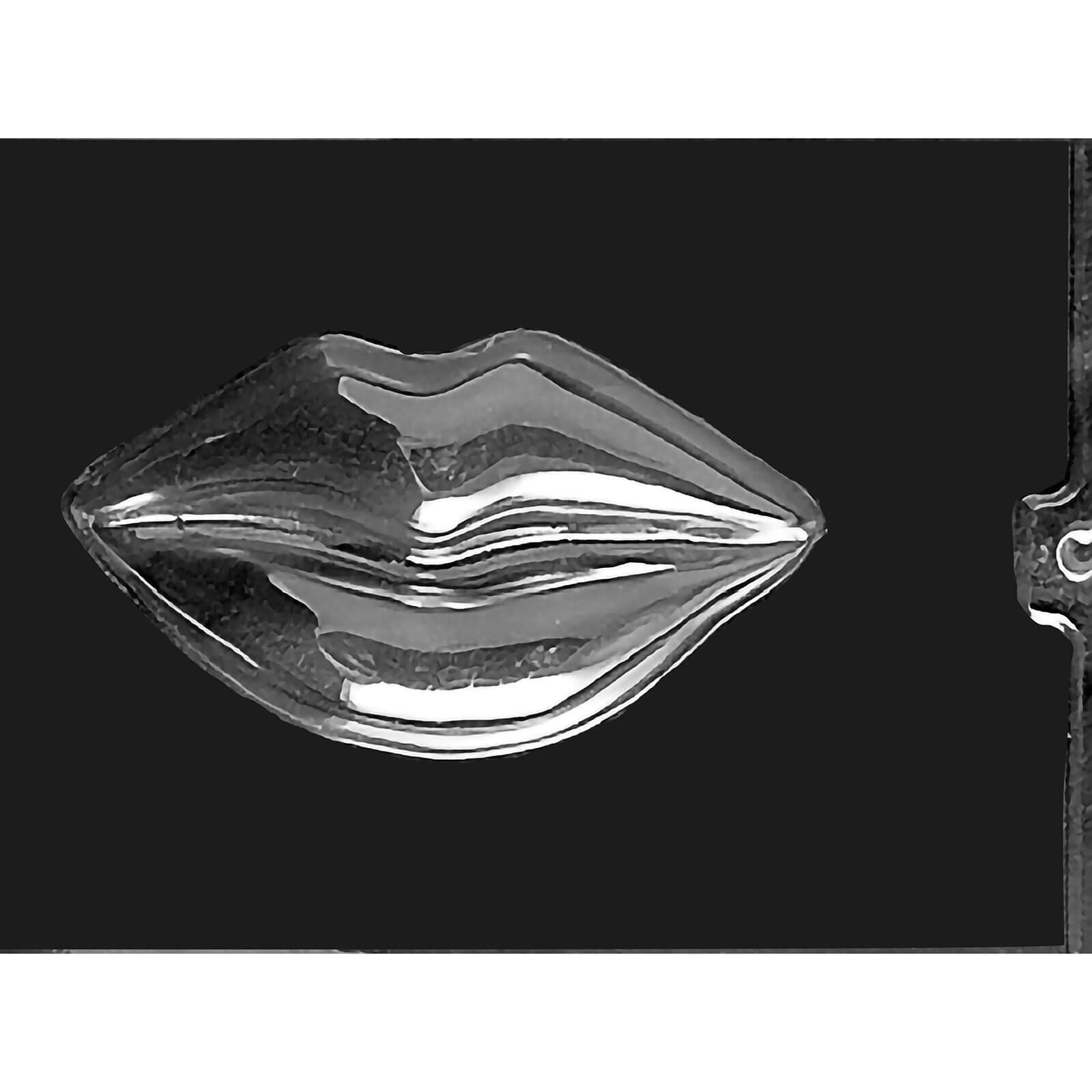 MOLD - LARGE LIPS 6" X 3" (1)