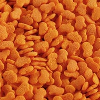 PUMPKIN QUINS