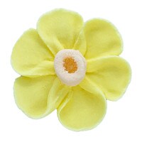 ROYAL DAFFODIL